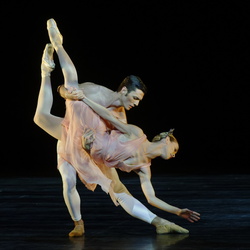 Ballet Opéra de Rome - La Rose Malade