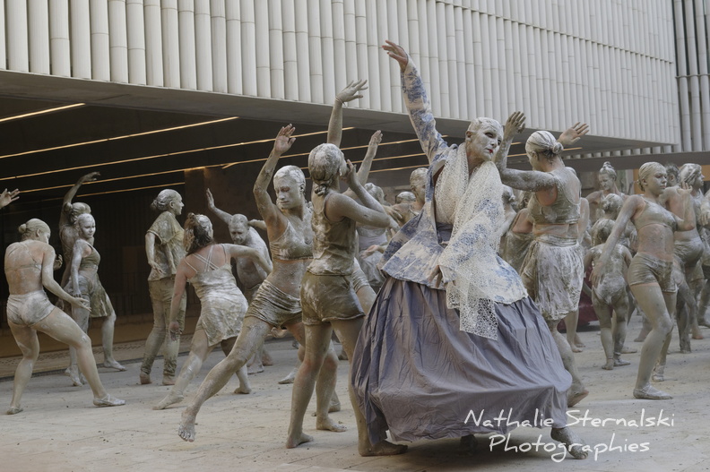_DSC8164.jpg