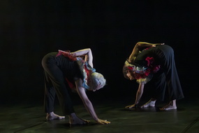  DSC8501