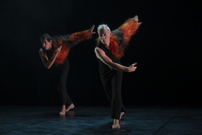  DSC8845