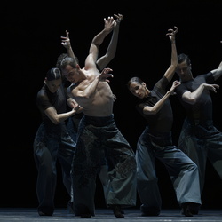 BMC - La Nuit transfigurée - Marco Goecke