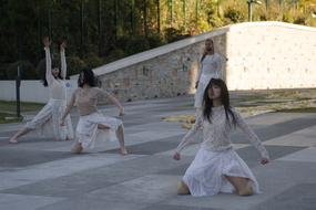  DSC5396